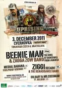 Uprising Reggae Festival - UPRISING WinterPoster2011web.jpg